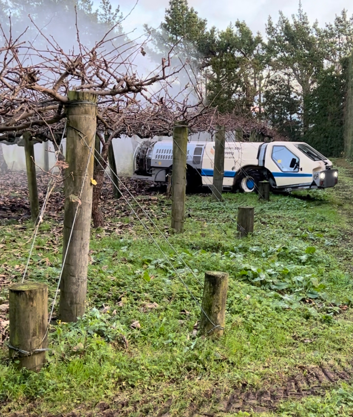 Canopy spraying among the vines