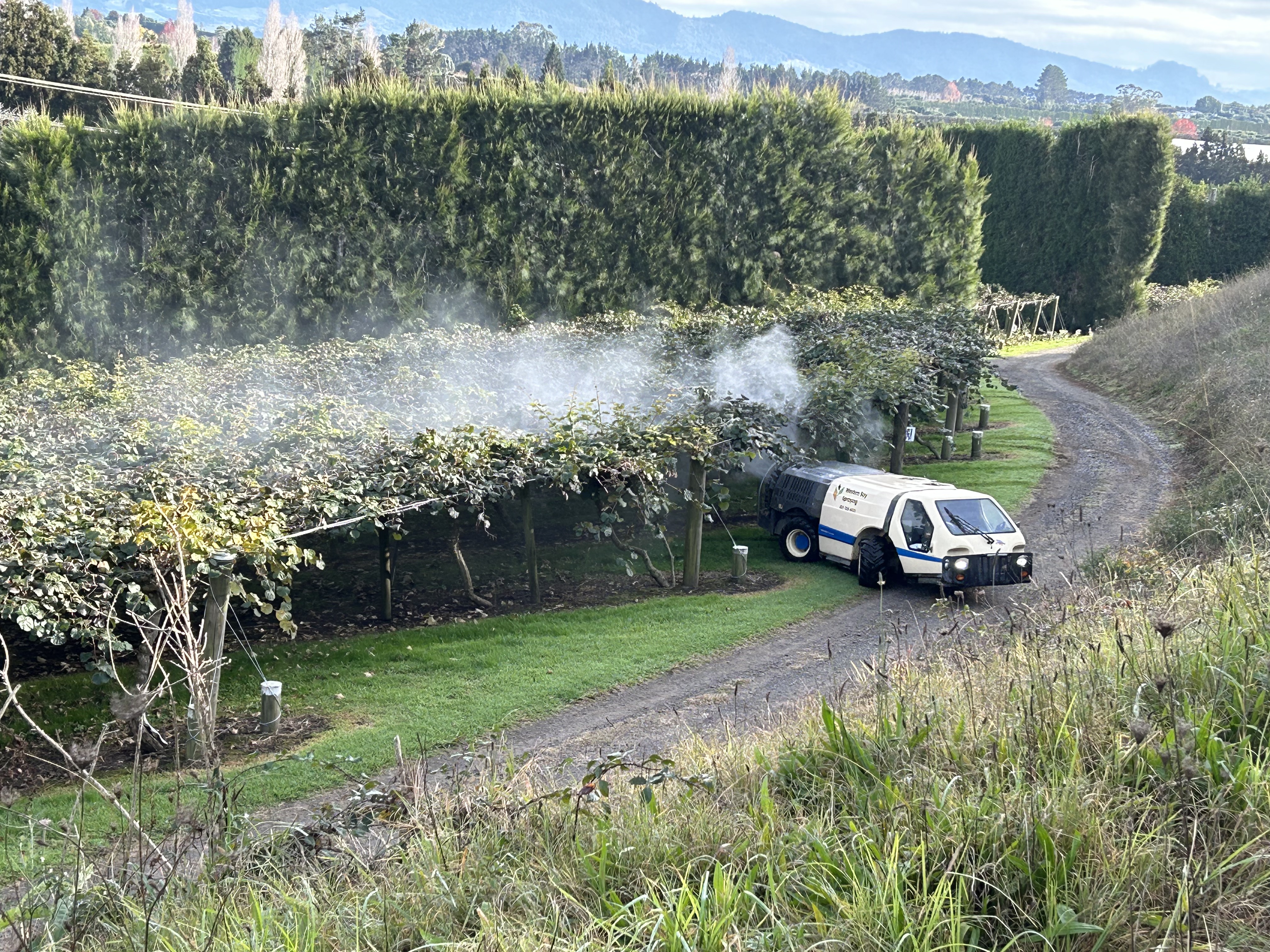 Spraying along a shelterbelt with the Kaimai ranges behind
