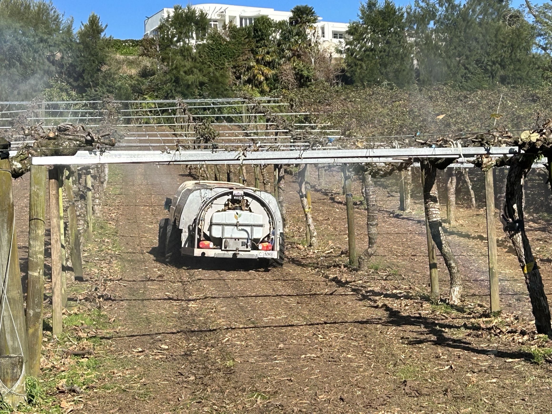 Canopy spraying