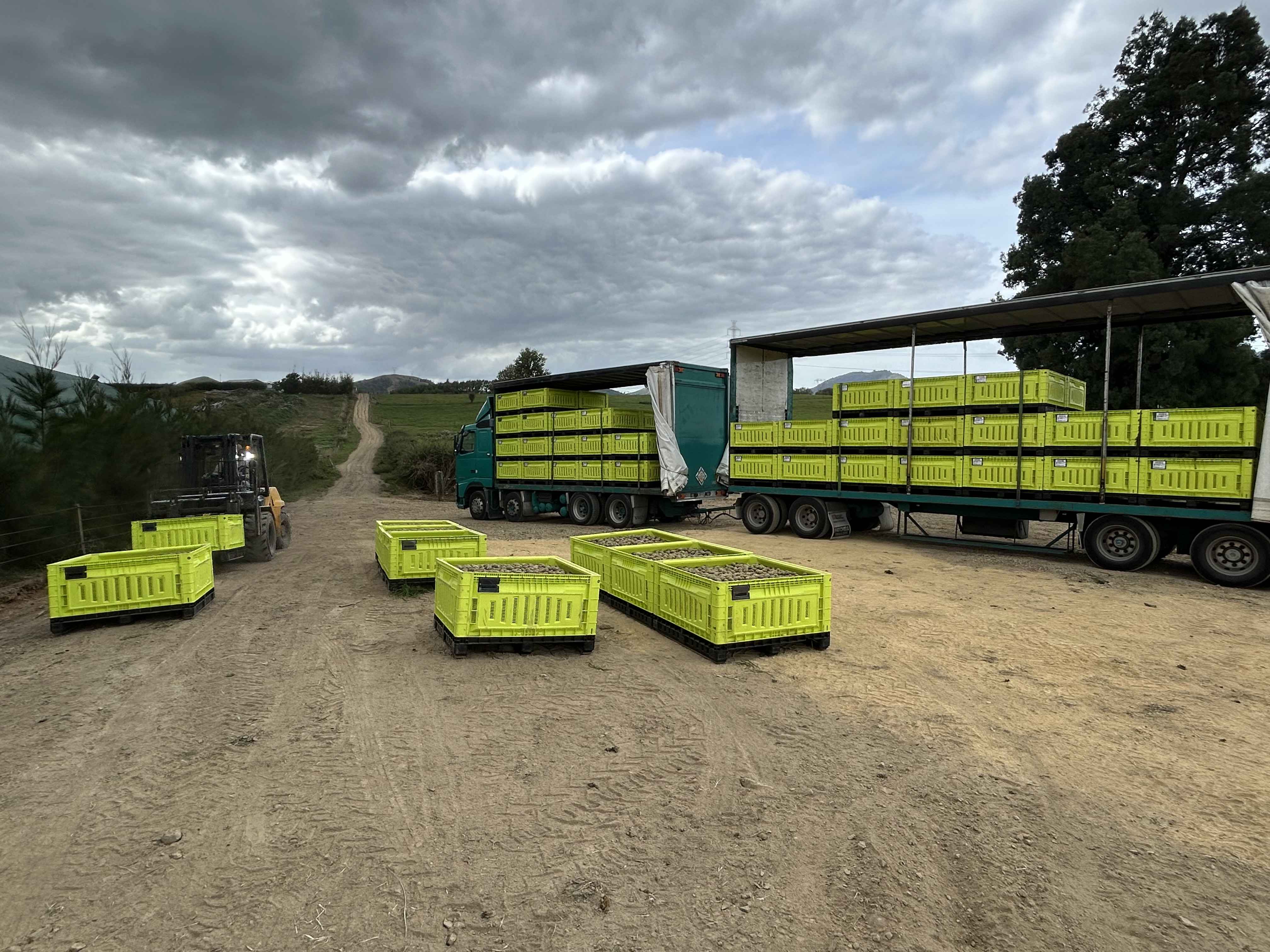 Harvest carting