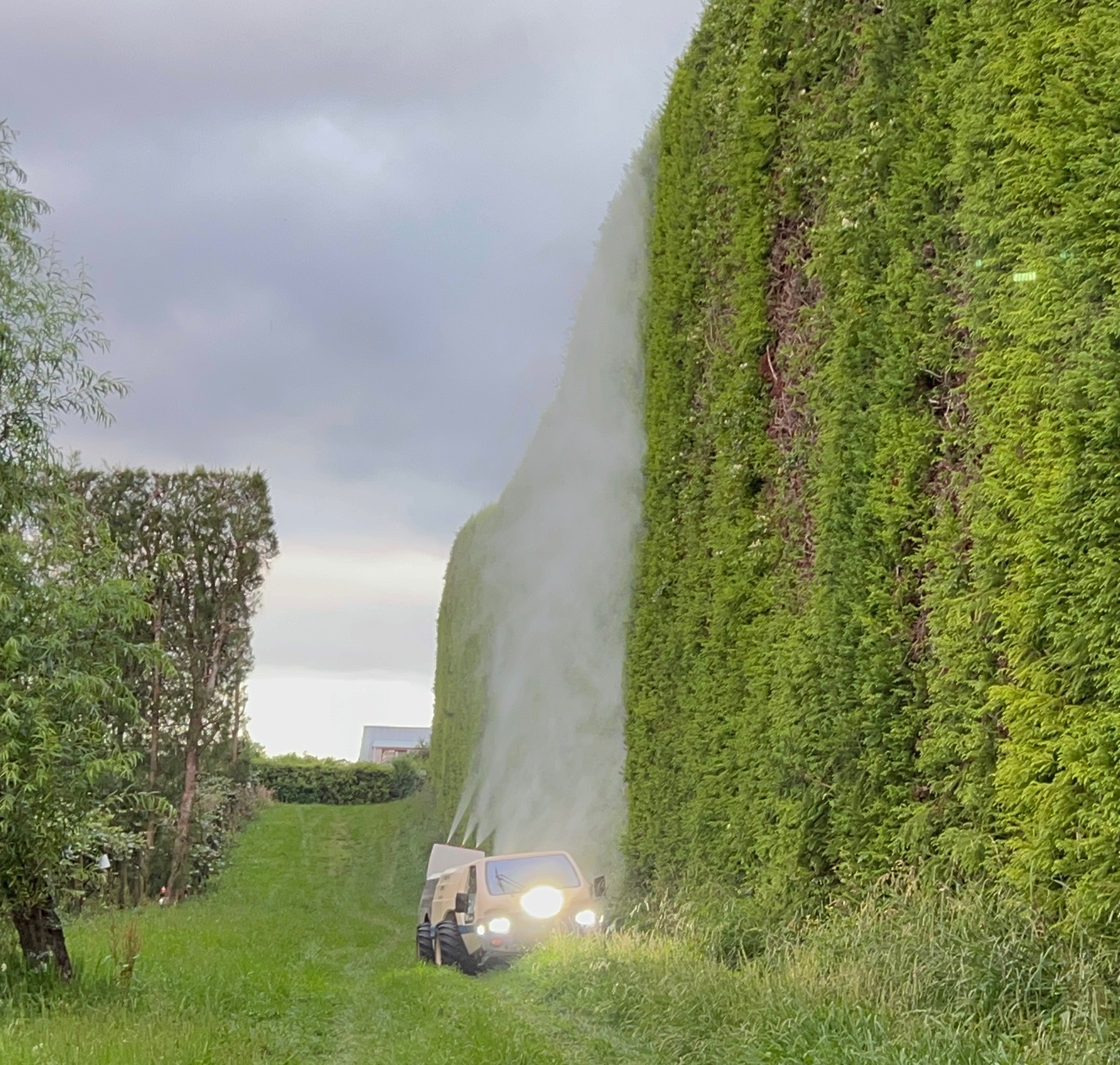 Shelterbelt spraying